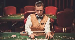 Grizzly Casino